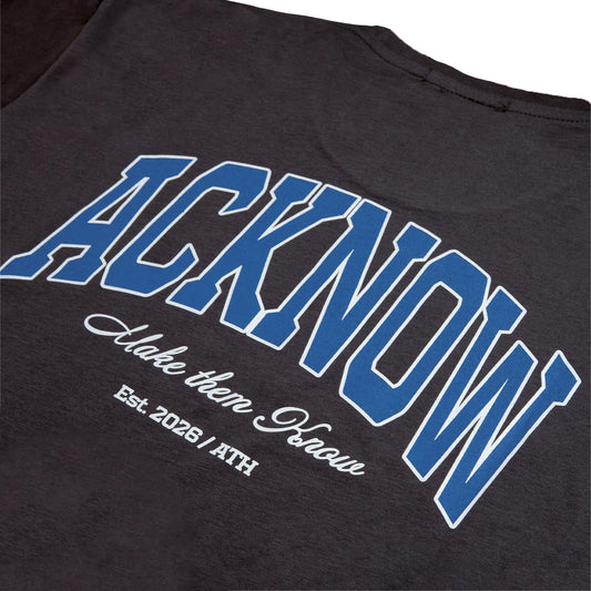 Close-up of the blue arched Acknow and Make Them Know print on the back of the grey tee