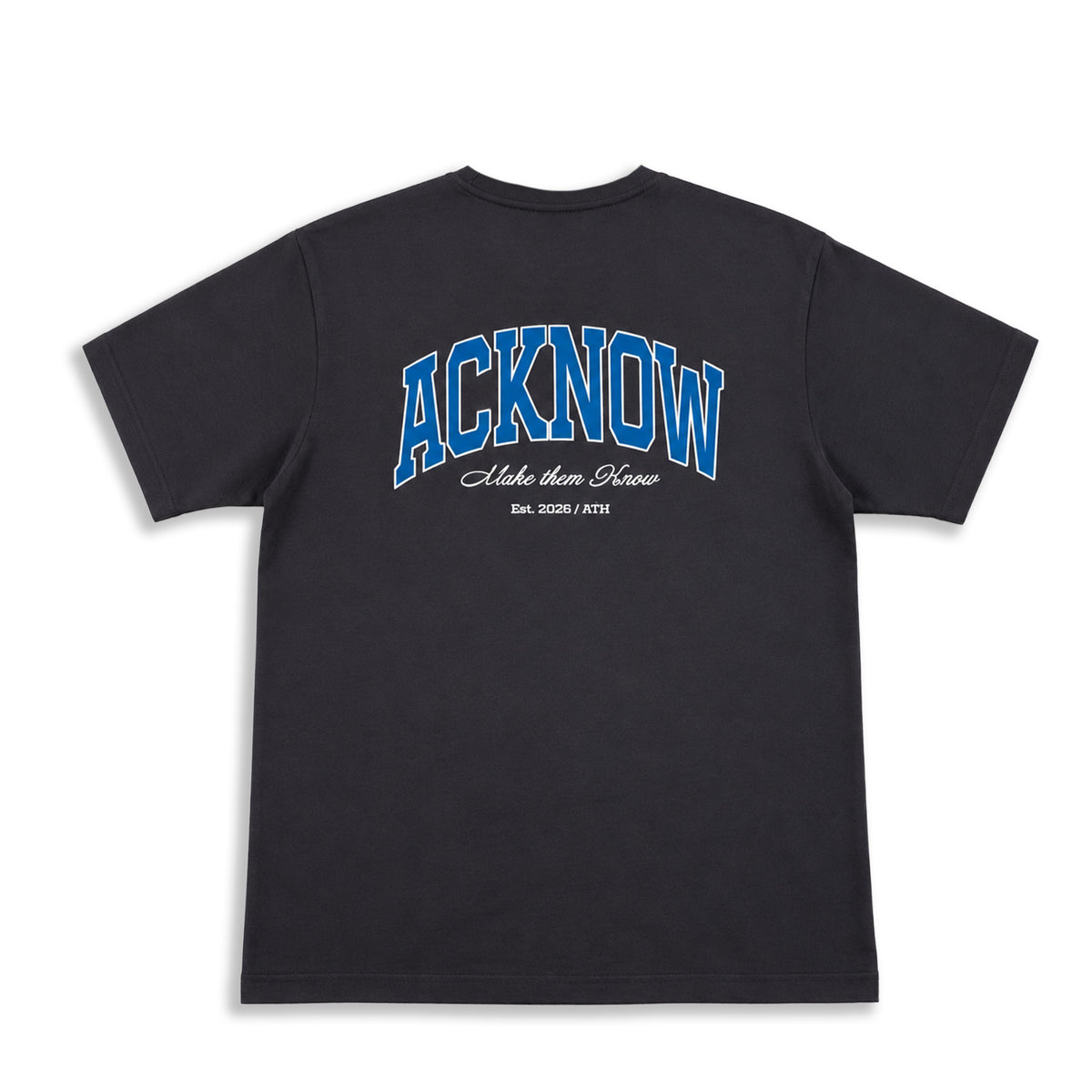 Acknow Make Them Know T-shirt in grey with blue arched graphic, back view